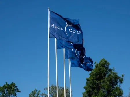 Flagg med eget design – liggende format