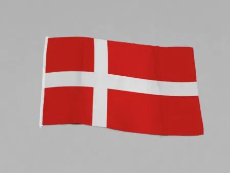 Dansk flagg